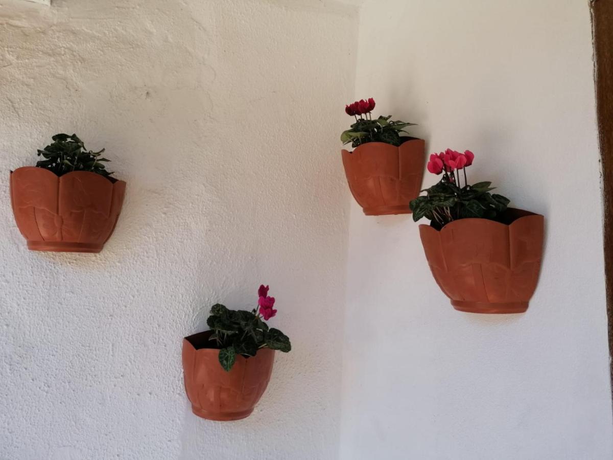 Villa Casa Rosario Mieres  Esterno foto